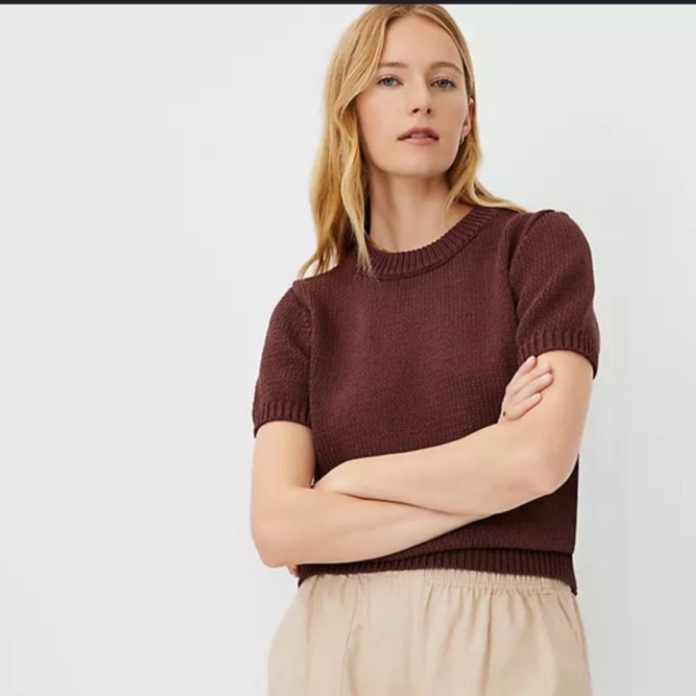 NWT Ann Taylor Chunky Wedge Sweater Size L